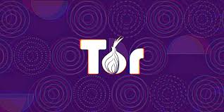 揭秘：Tor浏览器如何提升网络安全？深度解析！