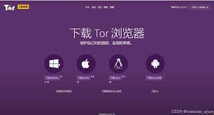 探索洋葱浏览器背后的技术原理