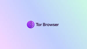 Tor浏览器：为何它是保护隐私的终极安全工具？
