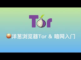 洋葱浏览器如何帮助你匿名访问社交媒体？