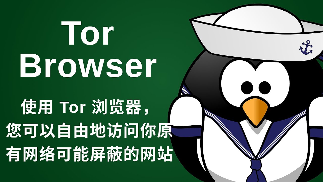洋葱浏览器未来是否会商业化？
