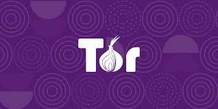 揭秘：Tor浏览器如何实现高效匿名浏览的终极指南